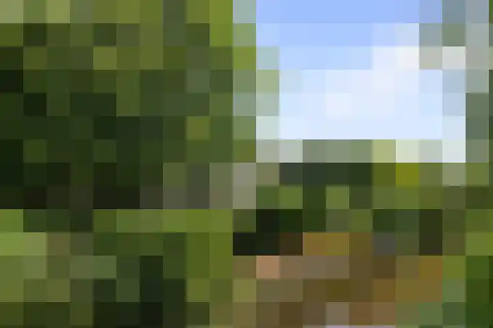 Vermeerstraat 8 Anna Paulowna thumbnail 43