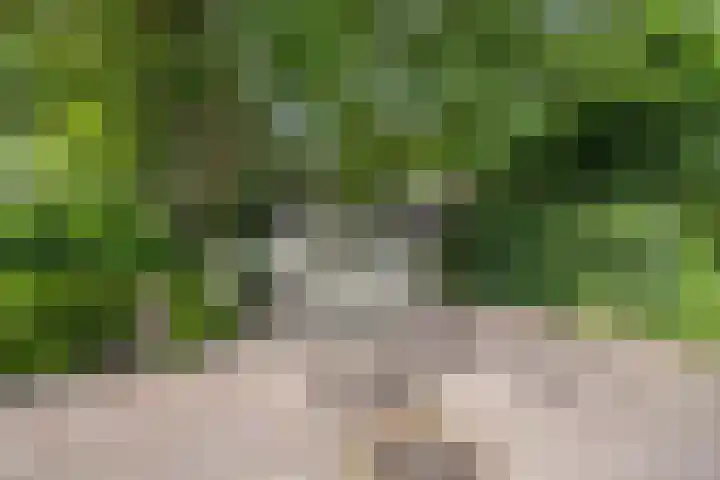 Vermeerstraat 8 Anna Paulowna thumbnail 5