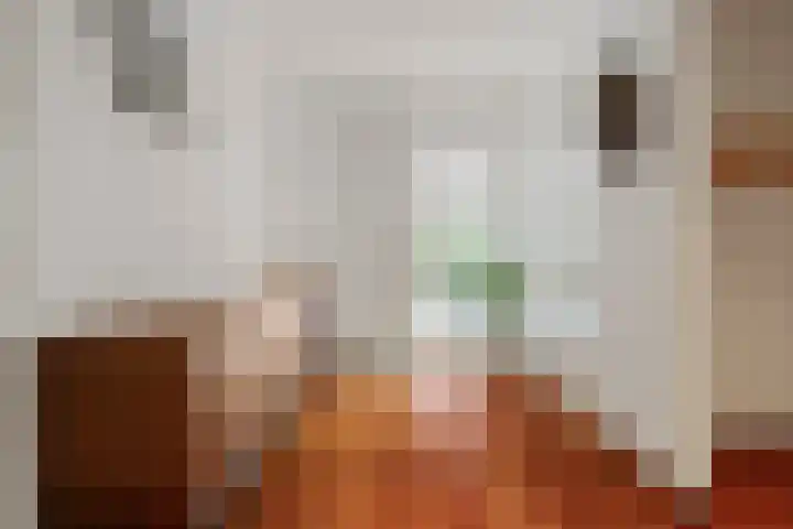 Vermeerstraat 8 Anna Paulowna thumbnail 8
