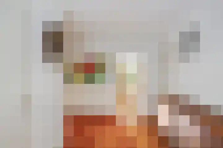 Vermeerstraat 8 Anna Paulowna thumbnail 9