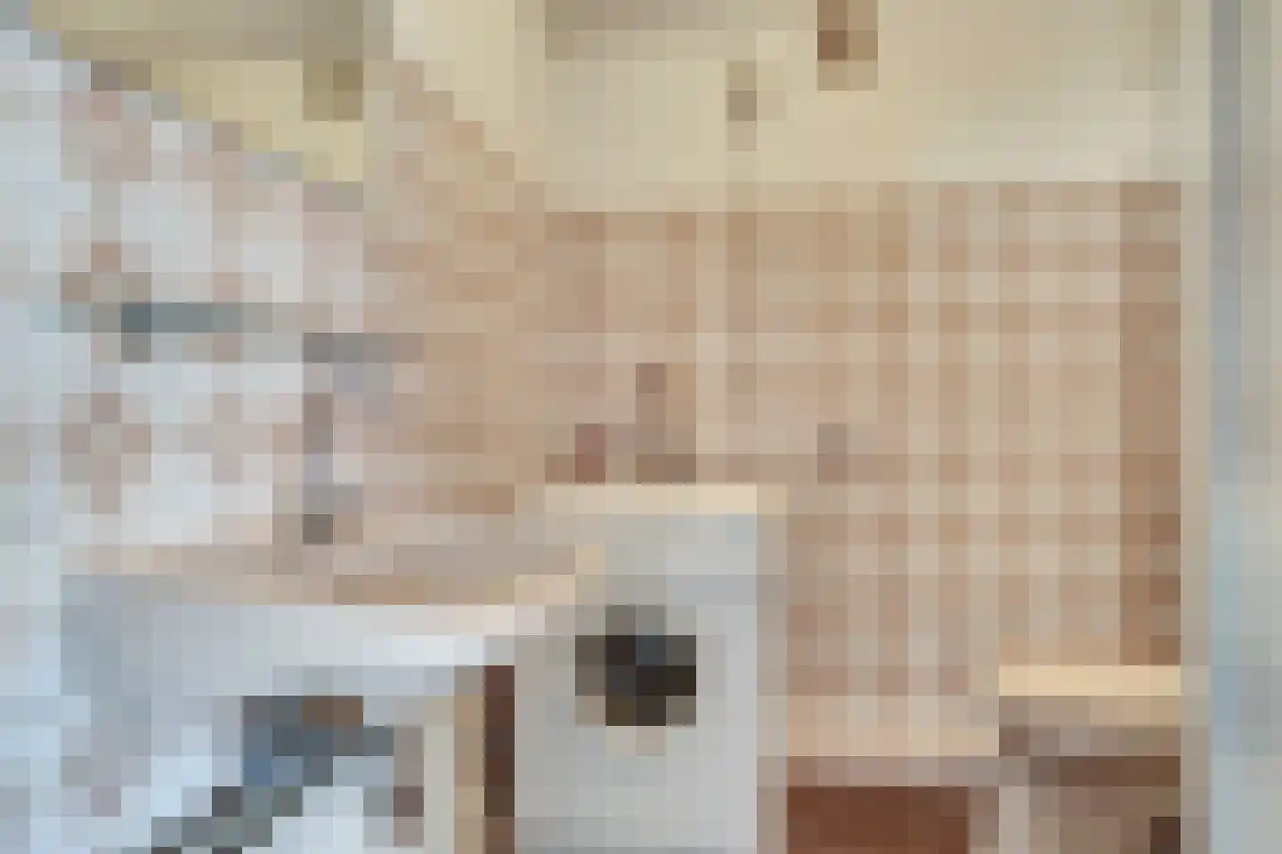 Vermeerstraat 8 Dongen thumbnail 25