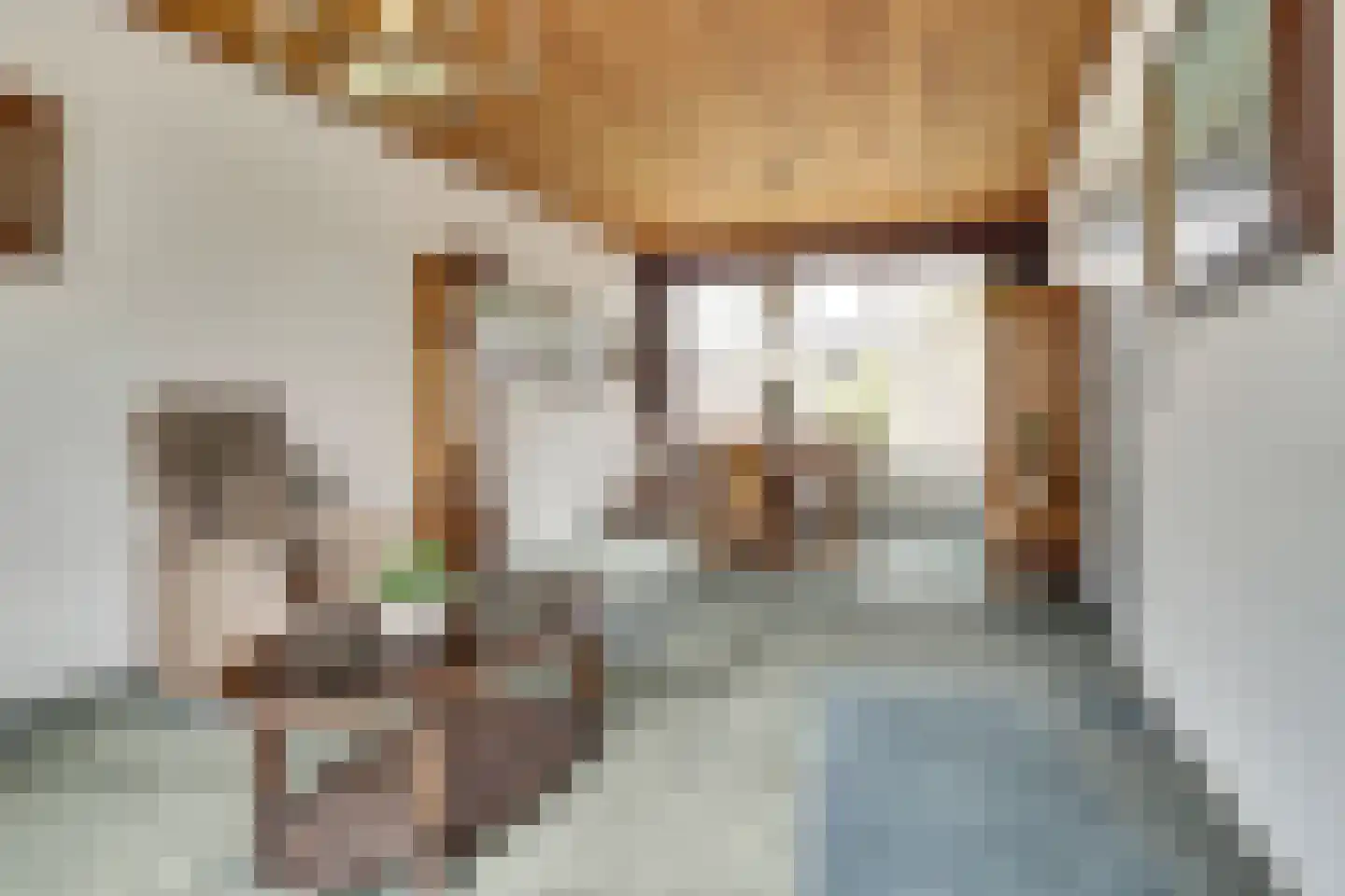 Vermeerstraat 8 Dongen thumbnail 6