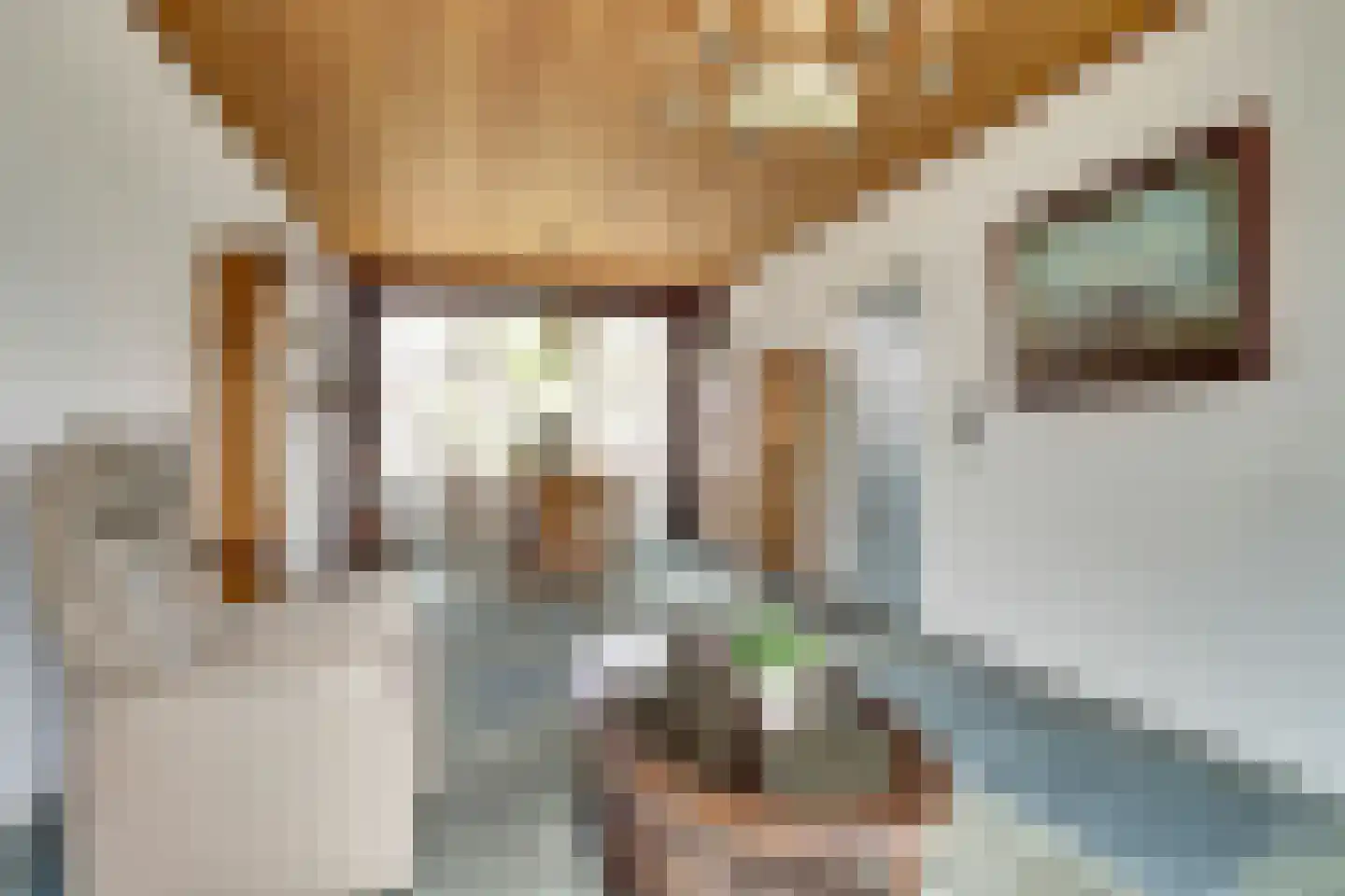 Vermeerstraat 8 Dongen thumbnail 7