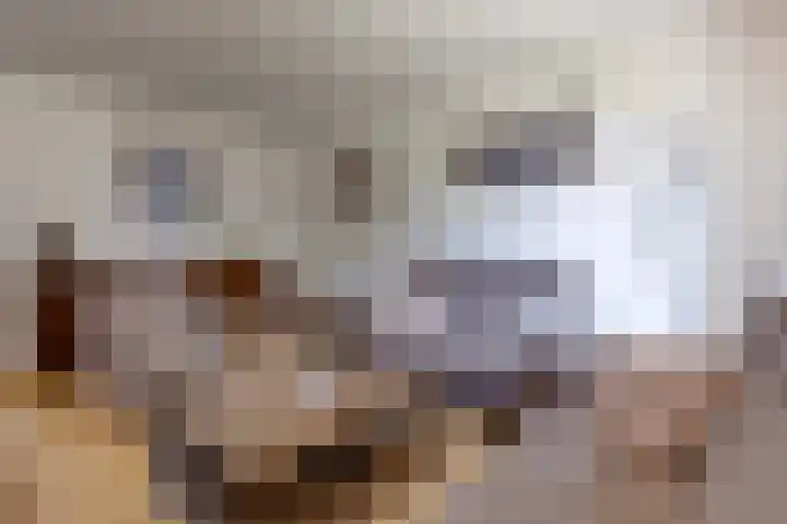 Vermeerstraat 9 Groenlo thumbnail 11