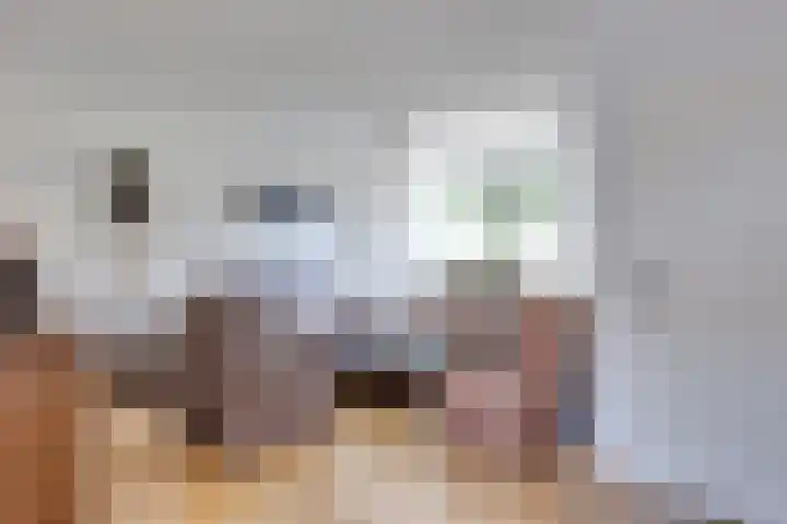 Vermeerstraat 9 Groenlo thumbnail 13