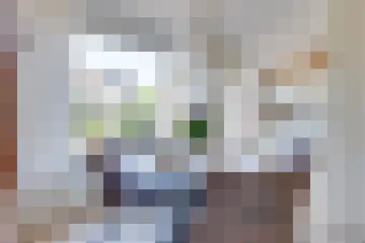 Vermeerstraat 9 Groenlo thumbnail 16