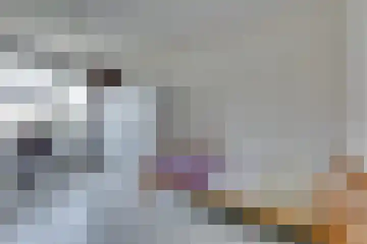 Vermeerstraat 9 Groenlo thumbnail 25