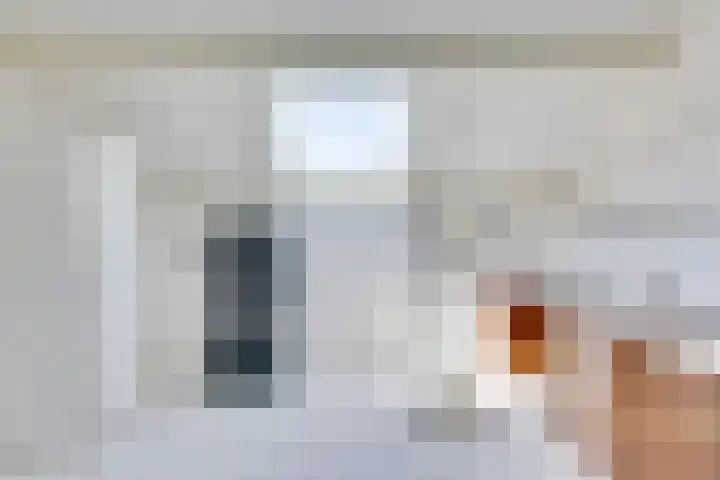 Vermeerstraat 9 Groenlo thumbnail 33