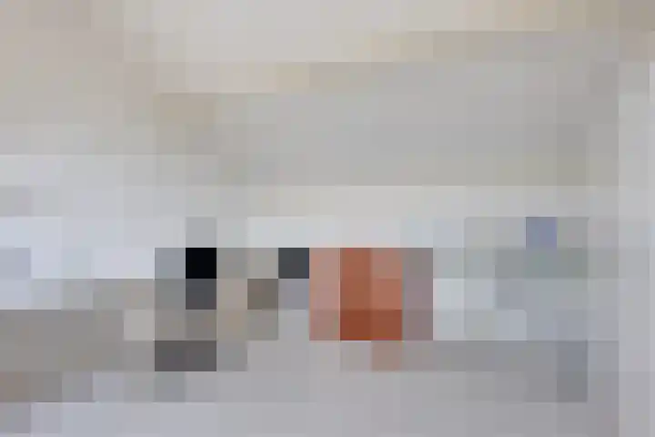 Vermeerstraat 9 Groenlo thumbnail 34
