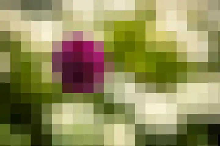 Vermeerstraat 9 Groenlo thumbnail 36