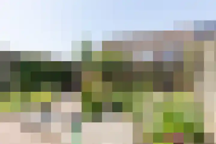 Vermeerstraat 9 Groenlo thumbnail 38