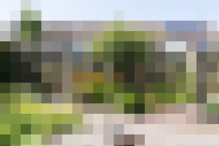 Vermeerstraat 9 Groenlo thumbnail 40