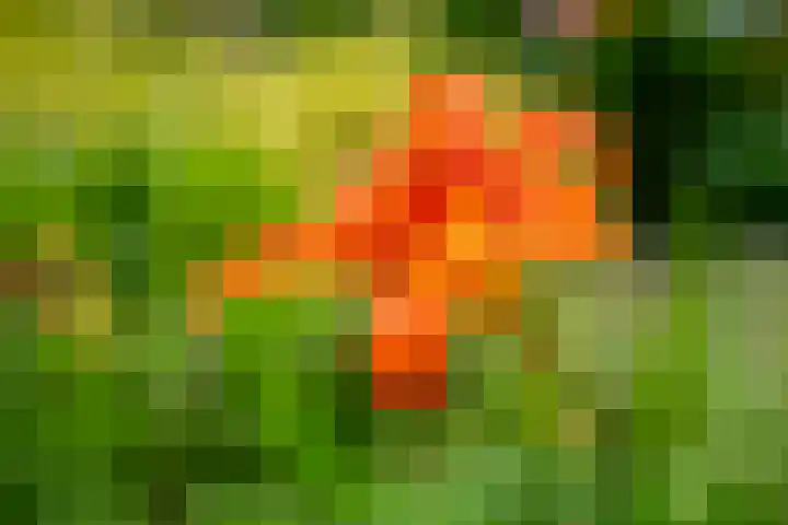 Vermeerstraat 9 Groenlo thumbnail 41