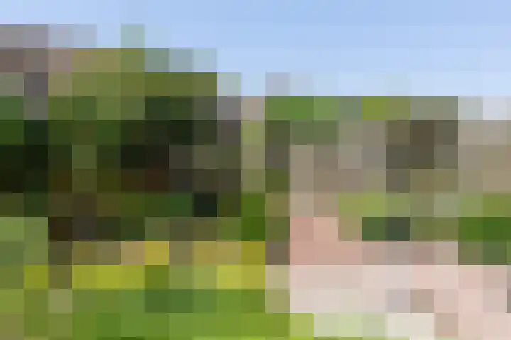 Vermeerstraat 9 Groenlo thumbnail 42