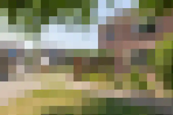 Vermeerstraat 9 Groenlo thumbnail 43