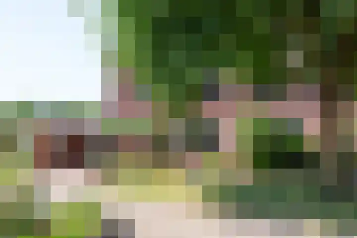 Vermeerstraat 9 Groenlo thumbnail 6