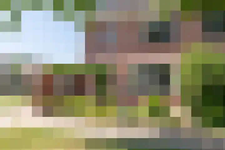 Vermeerstraat 9 Groenlo thumbnail 8