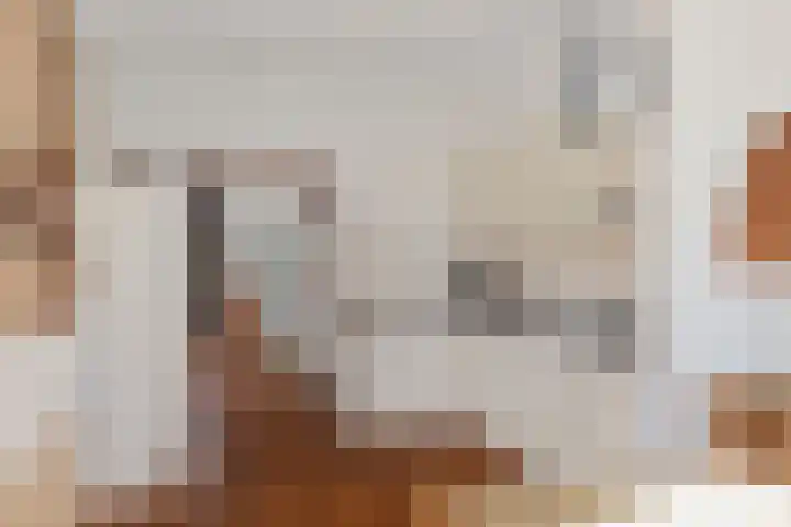 Vermeersweg 11 Twello thumbnail 11