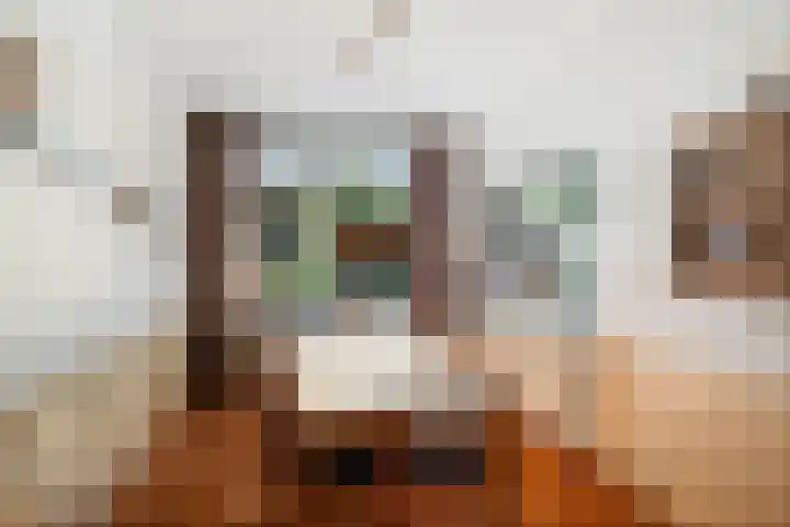 Vermeersweg 11 Twello thumbnail 12