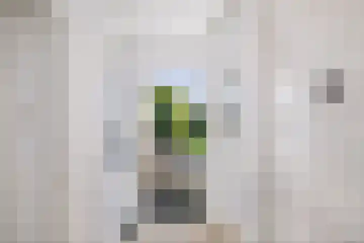 Vermeersweg 11 Twello thumbnail 14