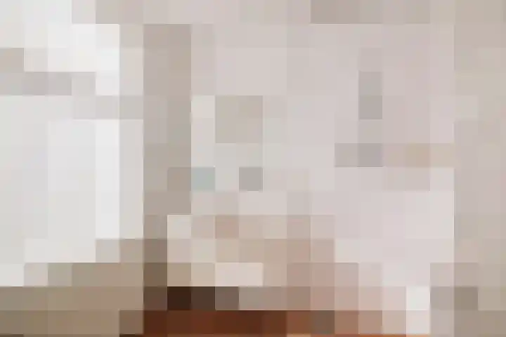 Vermeersweg 11 Twello thumbnail 15