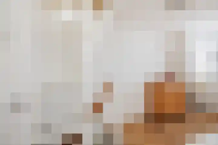 Vermeersweg 11 Twello thumbnail 18