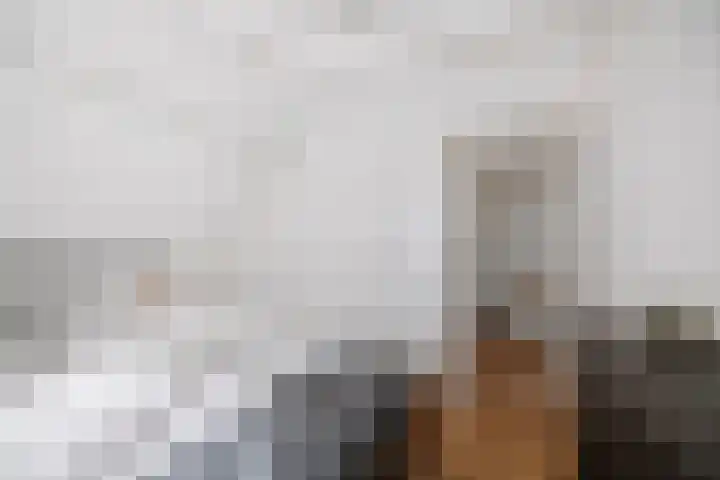 Vermeersweg 11 Twello thumbnail 20