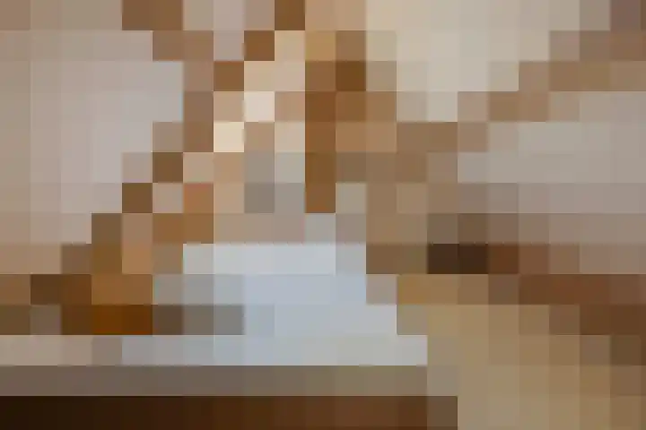 Vermeersweg 11 Twello thumbnail 25