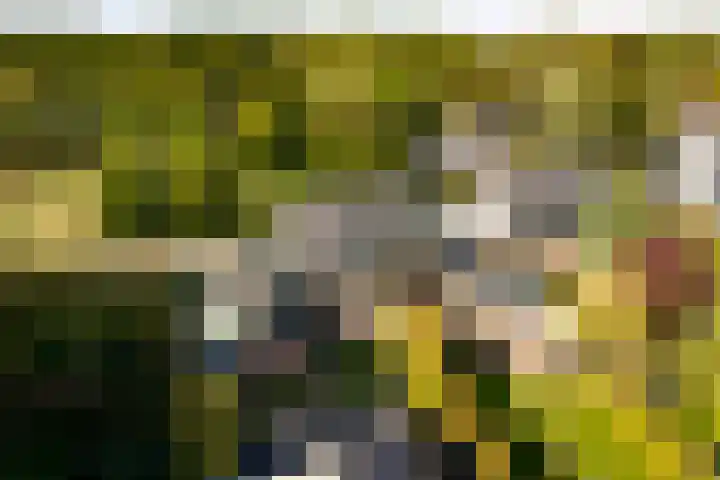 Vermeersweg 11 Twello thumbnail 27