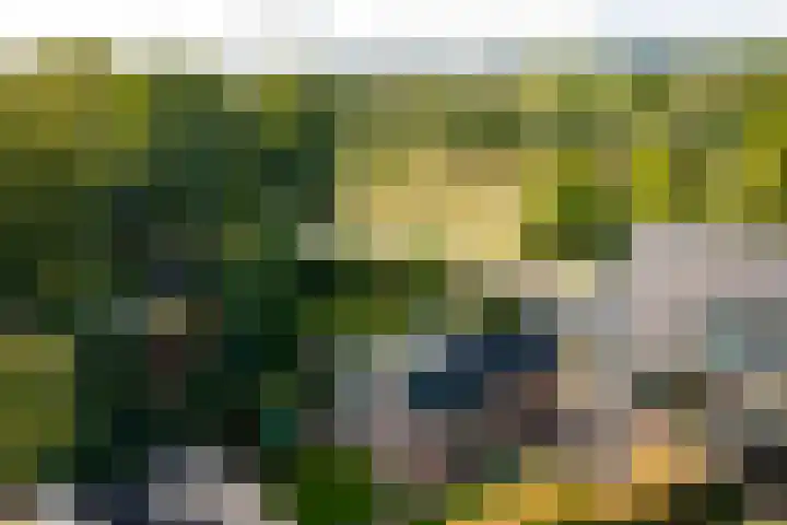 Vermeersweg 11 Twello thumbnail 28