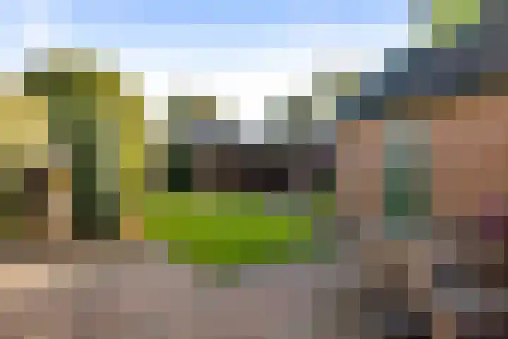 Vermeersweg 11 Twello thumbnail 29