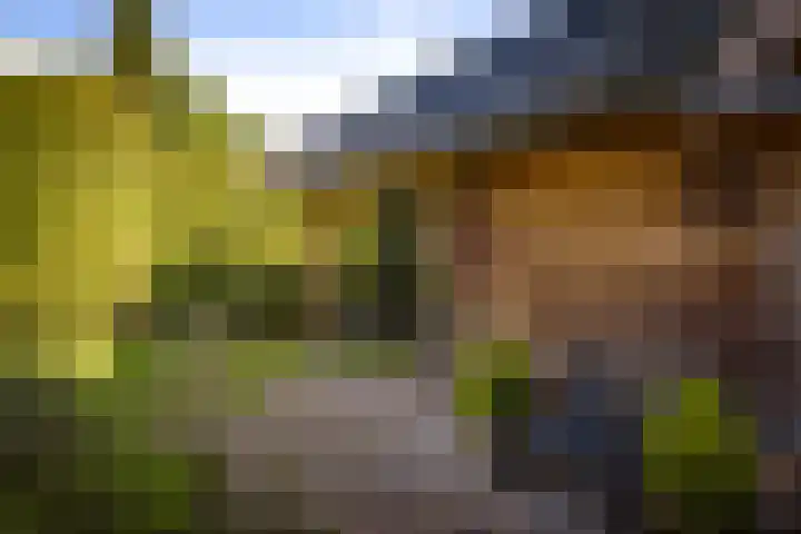 Vermeersweg 11 Twello thumbnail 31