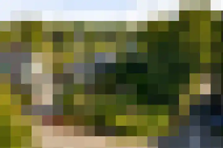 Vermeersweg 11 Twello thumbnail 32