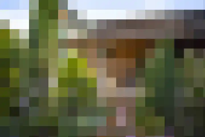 Vermeersweg 11 Twello thumbnail 37