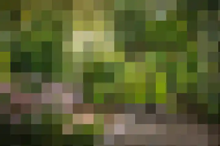 Vermeersweg 11 Twello thumbnail 38