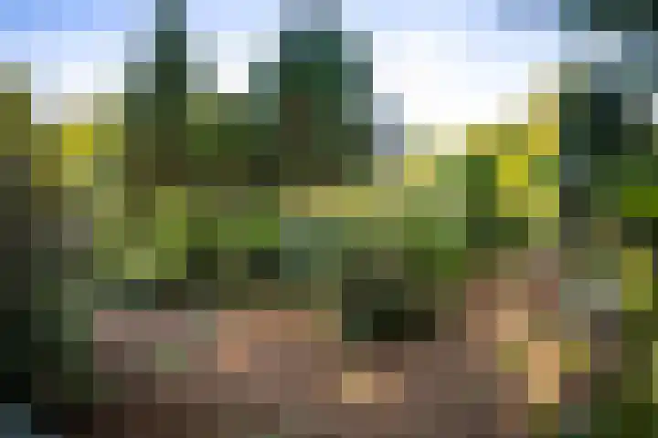 Vermeersweg 11 Twello thumbnail 39