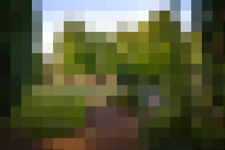 Vermeersweg 11 Twello thumbnail 40