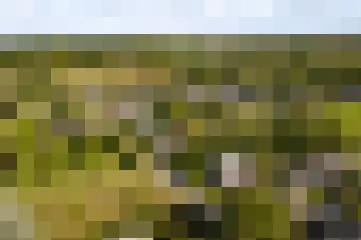Vermeersweg 11 Twello thumbnail 41