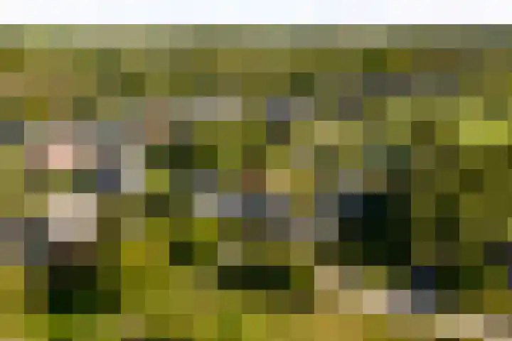 Vermeersweg 11 Twello thumbnail 42