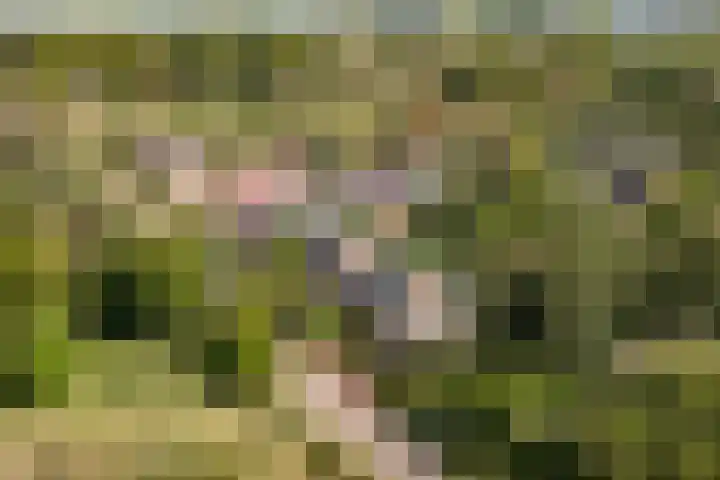 Vermeersweg 11 Twello thumbnail 43
