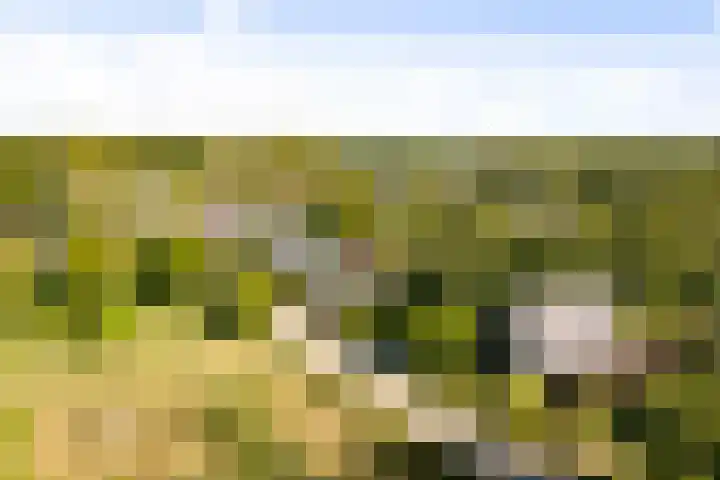 Vermeersweg 11 Twello thumbnail 44
