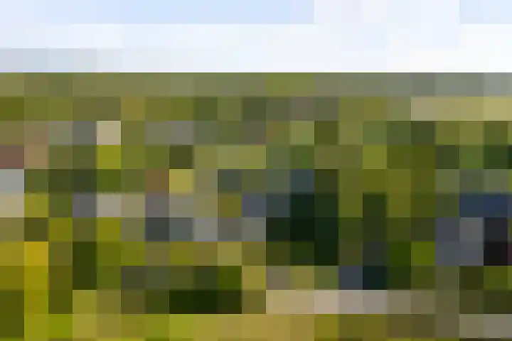 Vermeersweg 11 Twello thumbnail 45