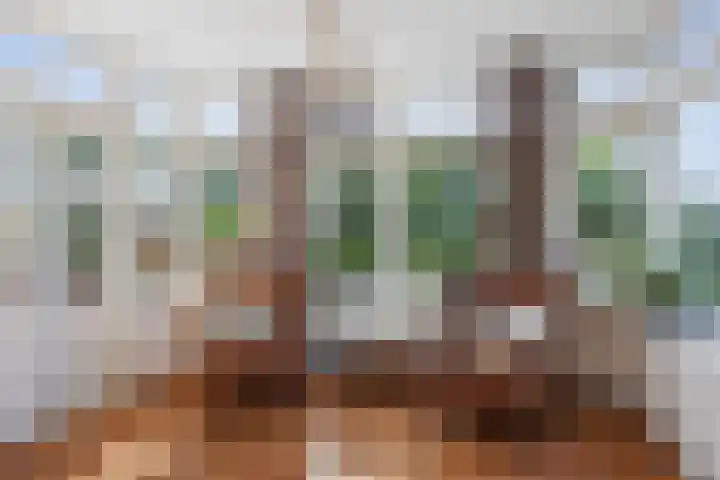 Vermeersweg 11 Twello thumbnail 5
