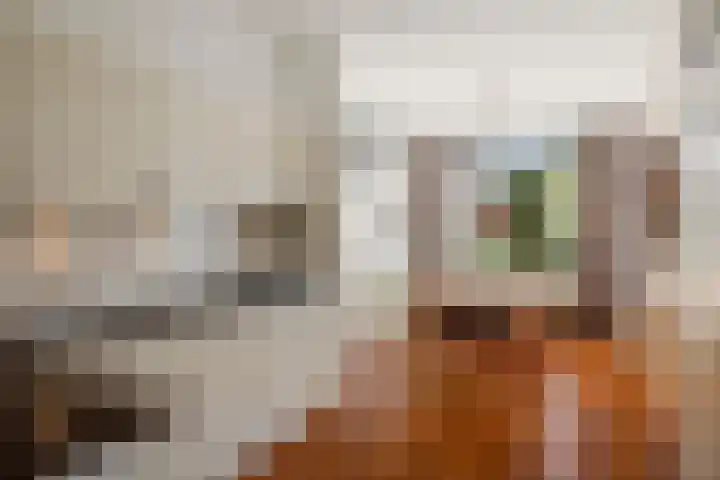 Vermeersweg 11 Twello thumbnail 8