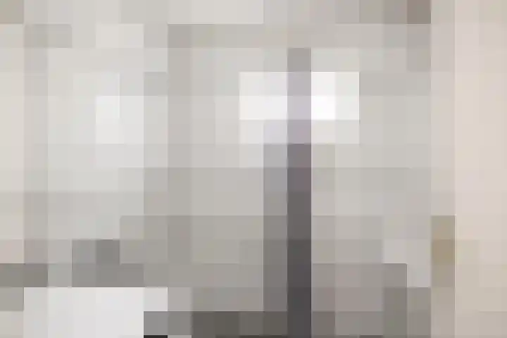 Vermeersweg 17 Twello thumbnail 12
