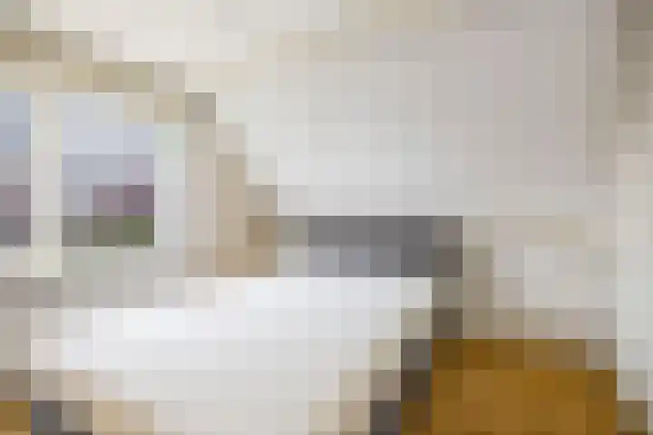 Vermeersweg 17 Twello thumbnail 15
