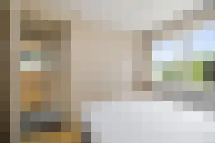 Vermeersweg 17 Twello thumbnail 16