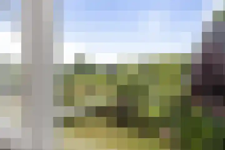 Vermeersweg 17 Twello thumbnail 17