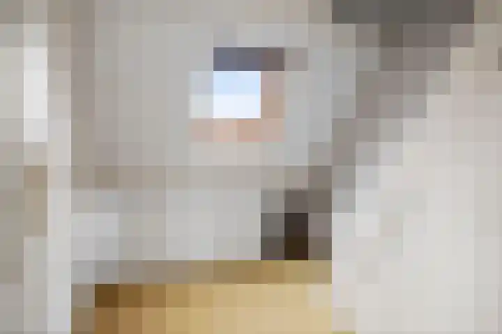 Vermeersweg 17 Twello thumbnail 21