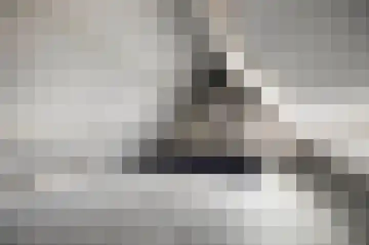 Vermeersweg 17 Twello thumbnail 22
